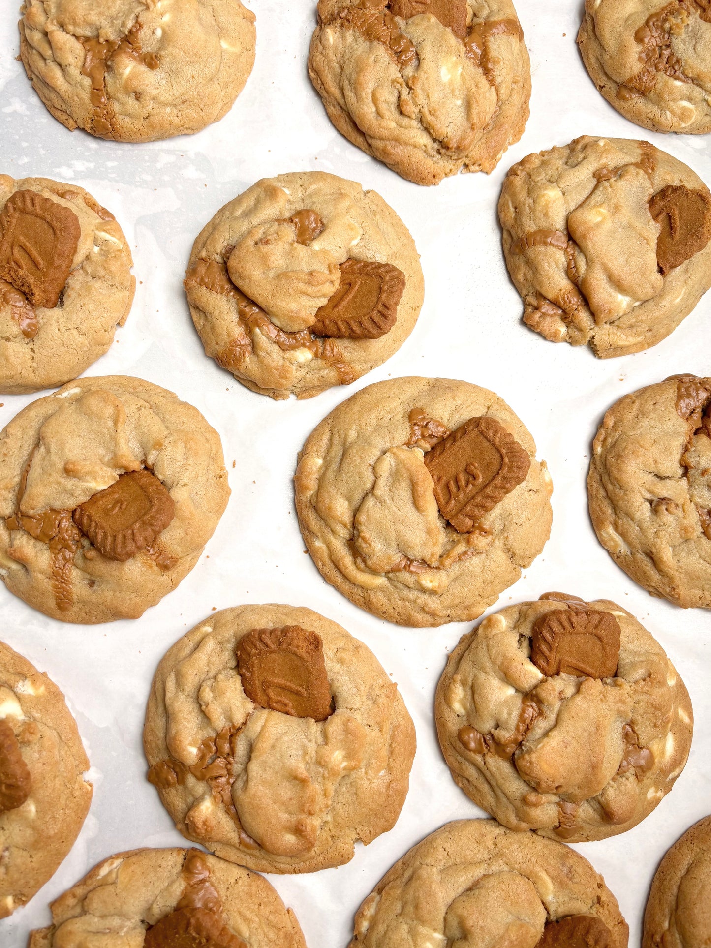 Lotus Biscoff